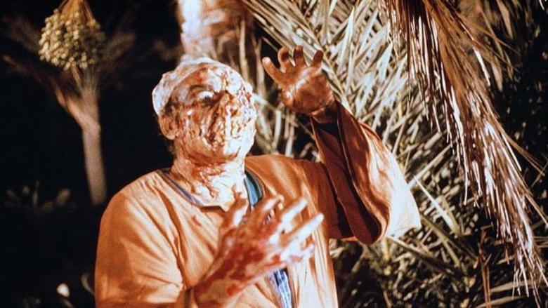 Dawn of the Mummy image