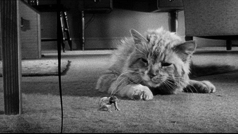 The Incredible Shrinking Man image