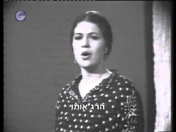 Aliza Rosen image